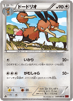 Dodrio 47, Collection Y