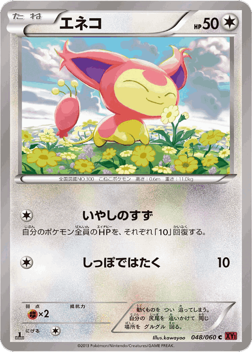 Skitty 48, Collection Y
