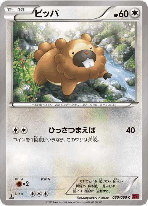 Bidoof 50, Collection Y