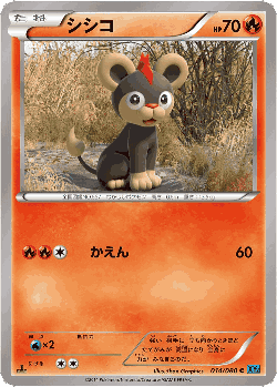 Litleo Pokémon TCG card art