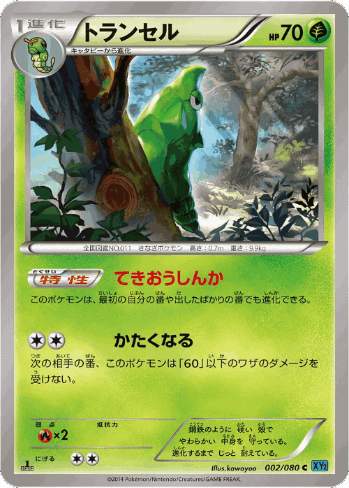 Metapod Pokémon TCG card art
