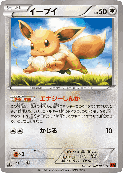 Eevee 75, Rising Fist