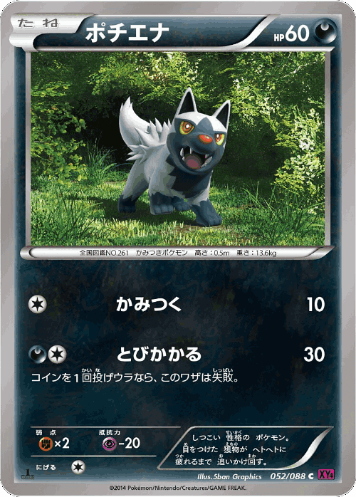 Poochyena 52, Phantom Gate