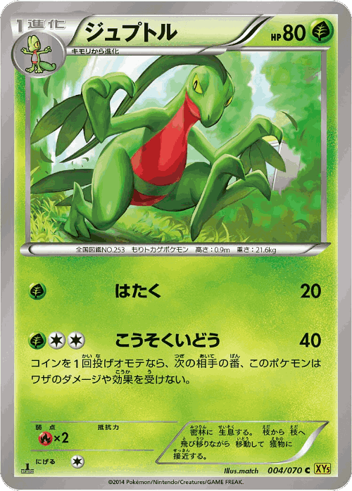 Grovyle Pokémon TCG card art