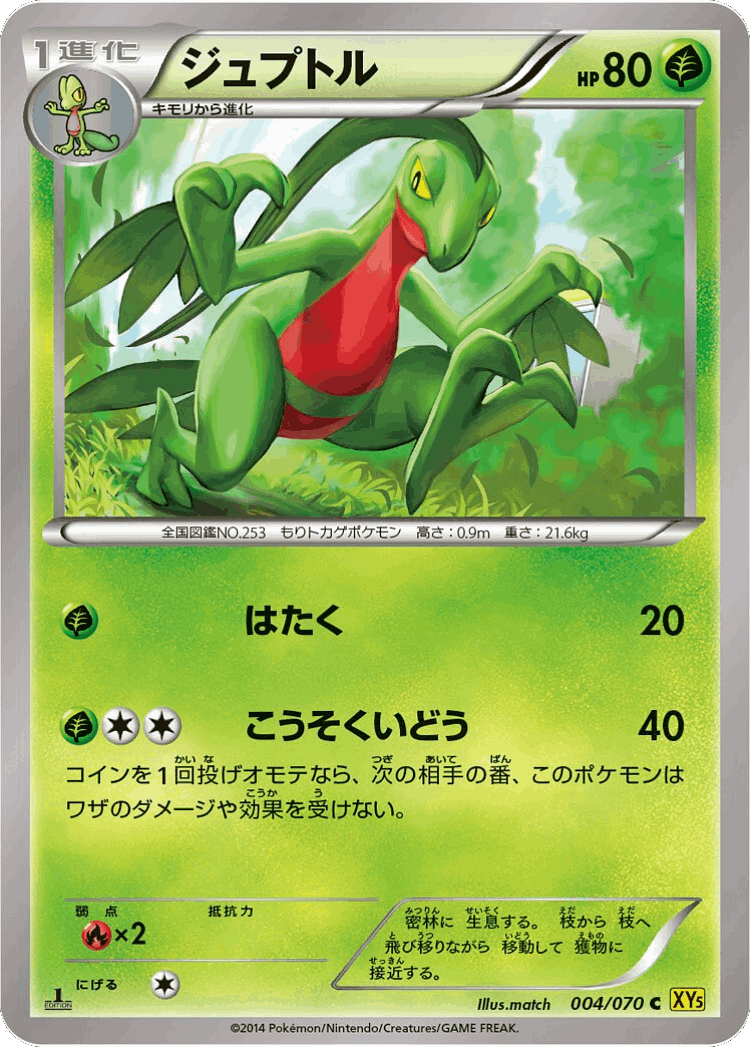 Grovyle #4 from Gaia Volcano - Common - Illustrated by match