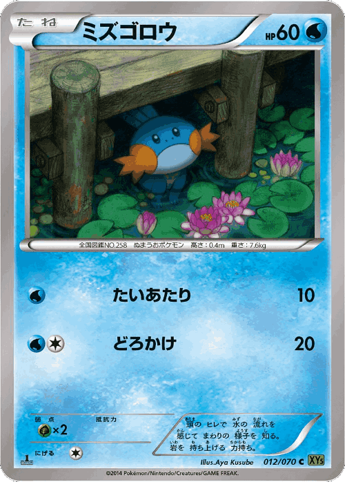 Mudkip #12 from Tidal Storm - Common - Illustrated by Aya Kusube