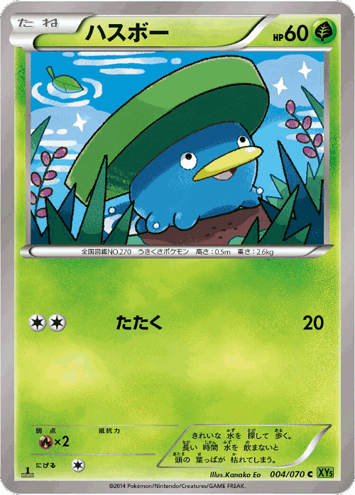 Lotad Pokémon TCG card art