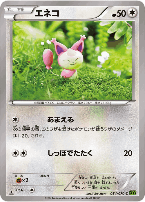 Skitty 54, Tidal Storm