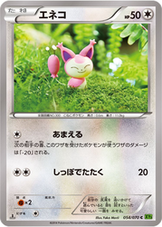 Skitty Tidal Storm card