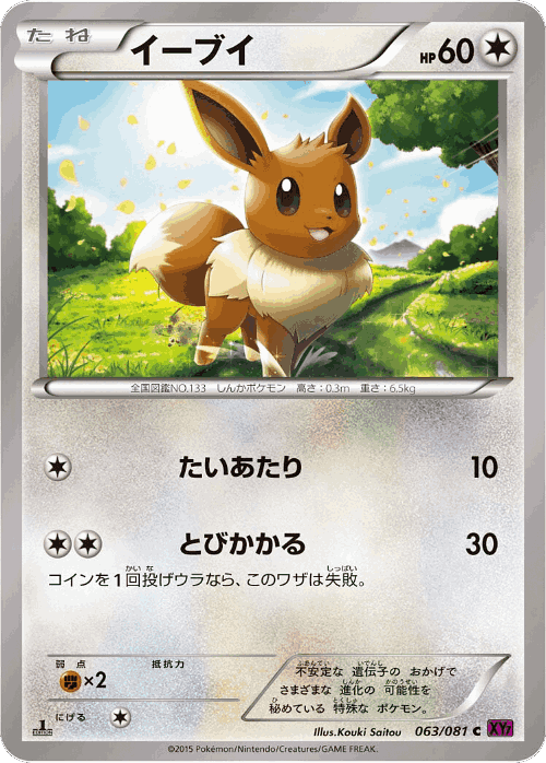 Eevee 63, Bandit Ring