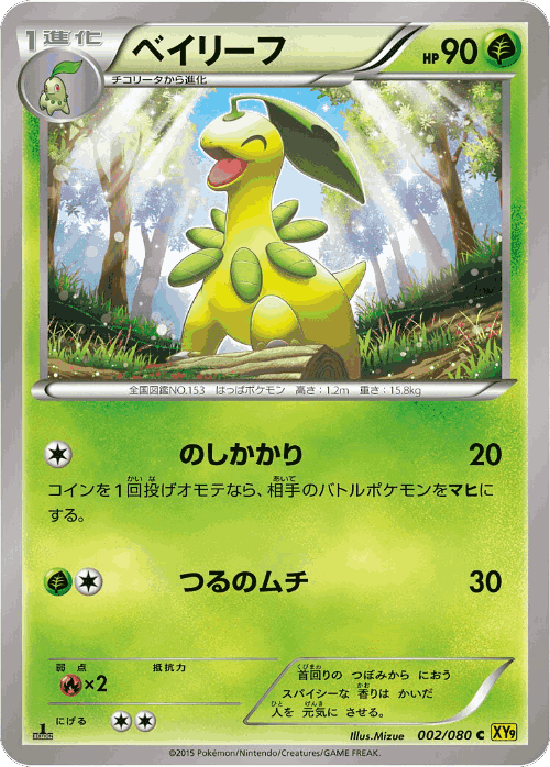 Bayleef Pokémon TCG card art