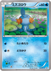 Mudkip XY Promos card
