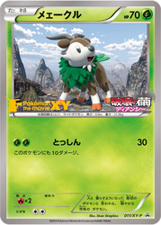 Skiddo XY Promos card