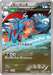 Salamence XY Promos card