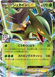 Sceptile-EX 163, XY Promos
