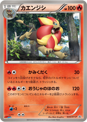 Pyroar XY Promos card