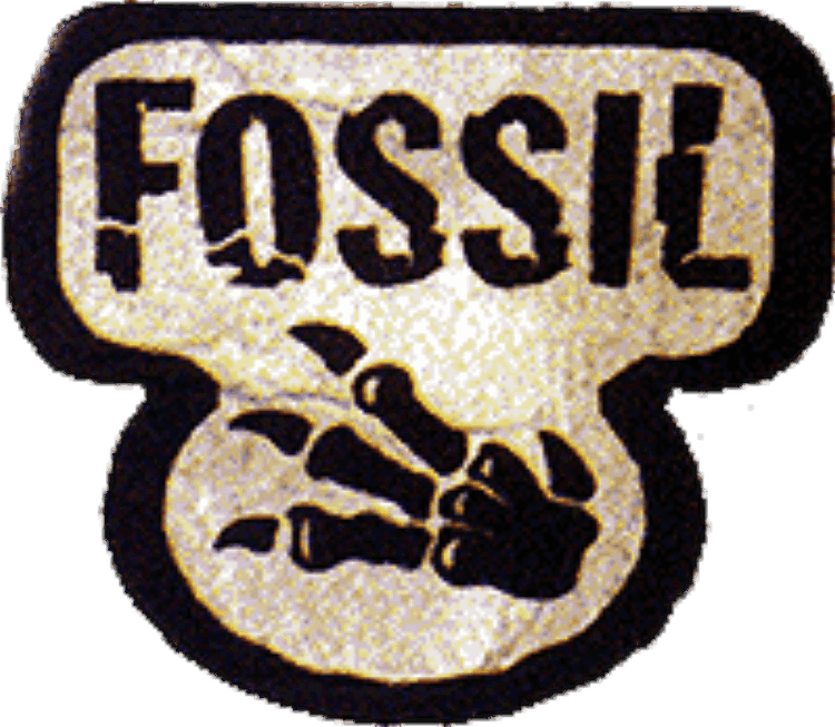 Fossil key artwork