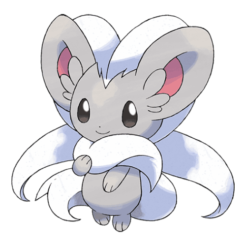 Cinccino